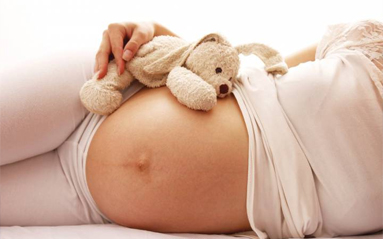İkinci Trimester